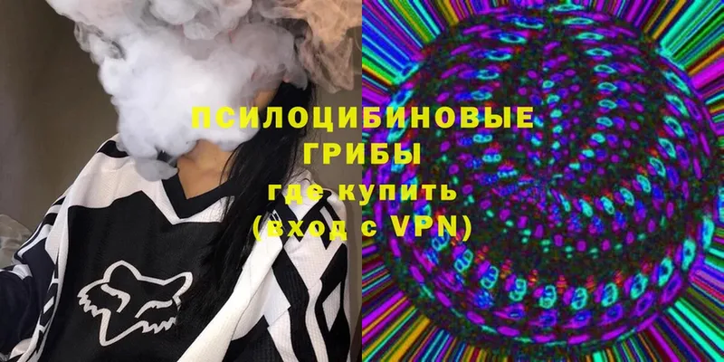 Псилоцибиновые грибы Psilocybine cubensis  Межгорье 